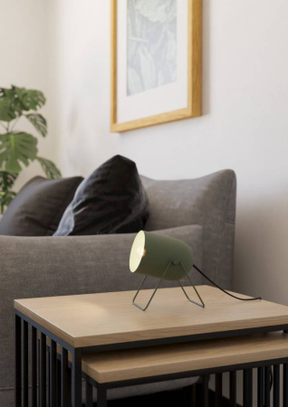 Настольная лампа Eglo Tilston 44136