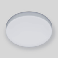 Накладной потолочный светодиодный светильник DLR043 Elektrostandard