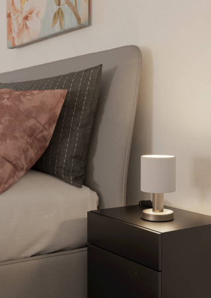 Настольная лампа Eglo Montetto 31841