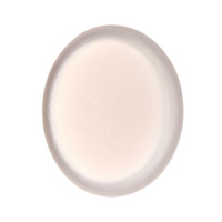 Настенно-потолочный светильник Sonex Pale Jolly 7775/DLN