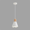 Подвесной светильник Lumion Suspentioni Eoliana 8352/1B