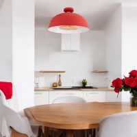 Потолочный светильник ImperiumLoft Globemi 307159-26