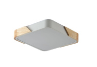 Потолочный светильник Zortes Alberro ZRS.01285.36