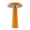 Настольная лампа Freya Mushroom FR6109TL-L4OR