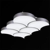 Потолочная люстра Reluce 01218-0.3-06LED