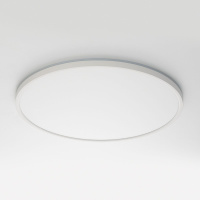 Потолочный светильник Citilux Norma CL749500