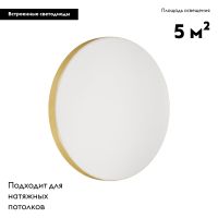 Настенно-потолочный светильник Sonex Smalli 3066/AL