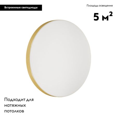 Настенно-потолочный светильник Sonex Smalli 3066/AL