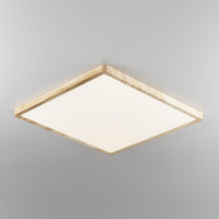 Потолочный светильник Citilux Бейсик CL738K502V