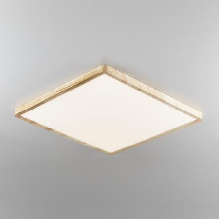 Потолочный светильник Citilux Бейсик CL738K502V