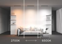 Трековый магнитный светильник Maytoni Technical Basis Radity TR080-4-20WTW-B