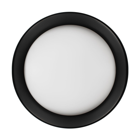 Потолочный светильник Loft IT Coin 10202 BB