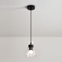 Подвесной светильник Freya Topi FR5503PL-01B