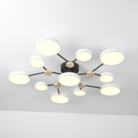 Люстра на штанге ImperiumLoft Gamma 223764-23