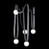 Подвесная люстра Loft IT Picot 10240/5