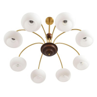 Люстра на штанге Lumion Moderni Larina 8323/8C