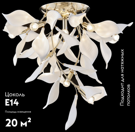 Потолочная люстра Wertmark Miranda WE123.10.307