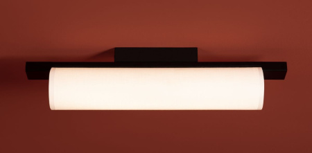 Потолочный светильник Freya Even FR5625CL-L20B