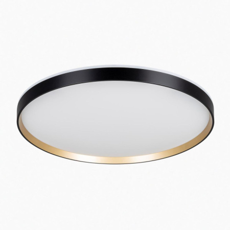 Потолочный светильник Citilux Etalon CL750501R