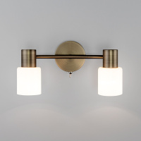 Спот Eurosvet Corso 20089/2 бронза