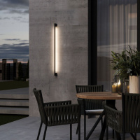 Фасадный светильник Elektrostandard Argos 35121/D 4690389214332 a069887