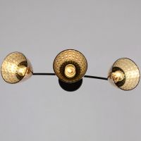 Потолочный светильник Reluce 01386-0.3-03 BK+FGD
