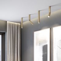 Потолочный светодиодный светильник Elektrostandard Pika 25030/Led золото a061120