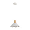Подвесной светильник Lumion Suspentioni Eoliana 8352/1A