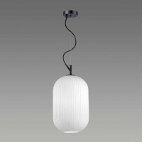 Подвесной светильник Odeon Light Pendant Roofi 4752/1