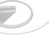 Потолочная люстра Freya Diane FR6020CL-L31W