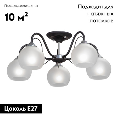 Потолочная люстра Vitaluce V3948-1/5PL