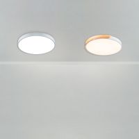 Потолочный светильник Freya Sprida FR6129CL-L80W