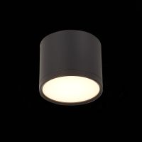 Потолочный светильник ST Luce Rene ST113.432.09