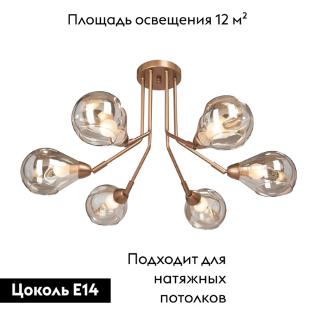 Потолочная люстра Vitaluce V4870-8/6PL