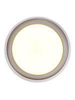 Потолочный светильник Zortes Adel ZRS.1200.01