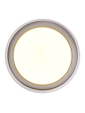 Потолочный светильник Zortes Adel ZRS.1200.01