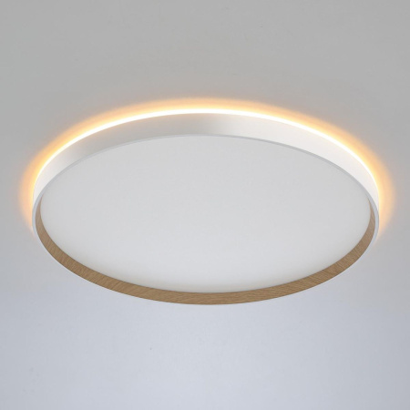 Накладной светильник Citilux Etalon CL750500R