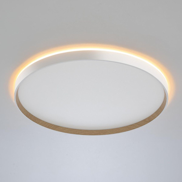 Накладной светильник Citilux Etalon CL750500R