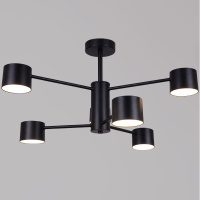 Люстра на штанге Reluce 47206-0.3-06BK