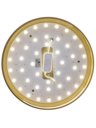 Потолочный светильник Zortes Gabby ZRS.90610.40