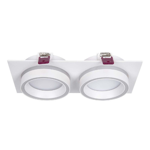 Встраиваемый светильник Favourite Vasto 4650-2C