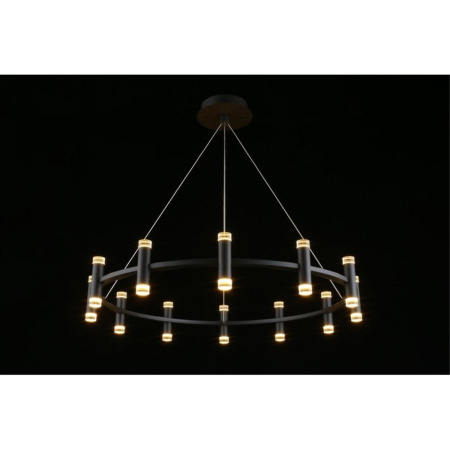 Подвесная светодиодная люстра Aployt Klarcia APL.037.03.120