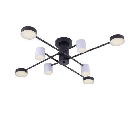 Потолочный светильник Freya Tibo FR6048CL-L8B