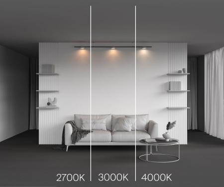 Трековый магнитный светильник Maytoni Zon TR189-1-12W4K-BW