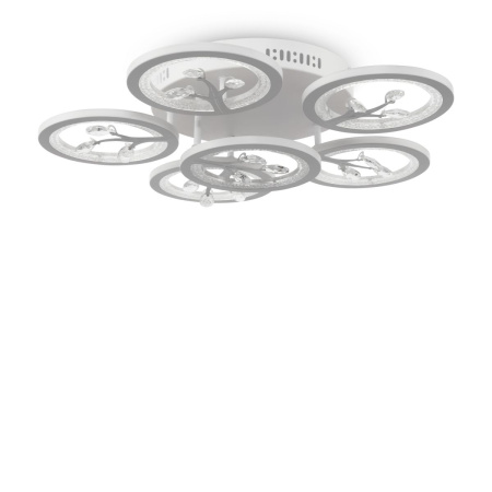 Потолочный светильник Freya Bodge FR10017CL-L92W