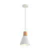 Подвесной светильник Lumion Suspentioni Eoliana 8352/1B