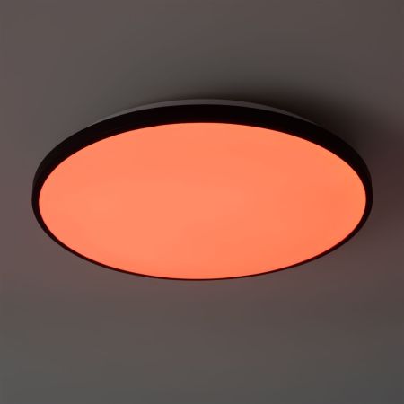 Потолочный светильник Freya Obelle FR6211CL-L24B