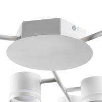 Потолочная люстра Lumion Gareta 8235/9C