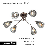 Потолочная люстра Vitaluce V4955-7/6PL