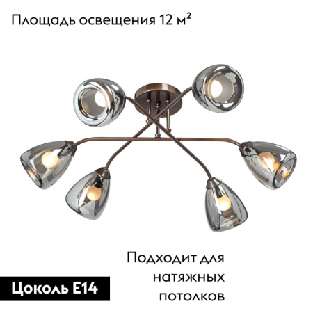 Потолочная люстра Vitaluce V4955-7/6PL